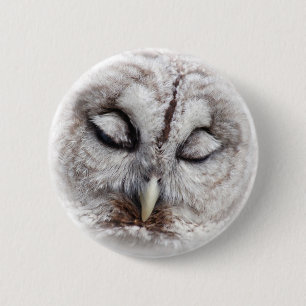 Macaron Rond 5 Cm Hibou barré timide