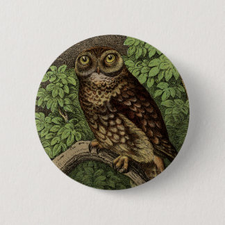 Macaron Rond 5 Cm Hibou dans le bouton de feuille