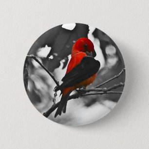 Macaron Rond 5 Cm Homme Scarlet Tanager