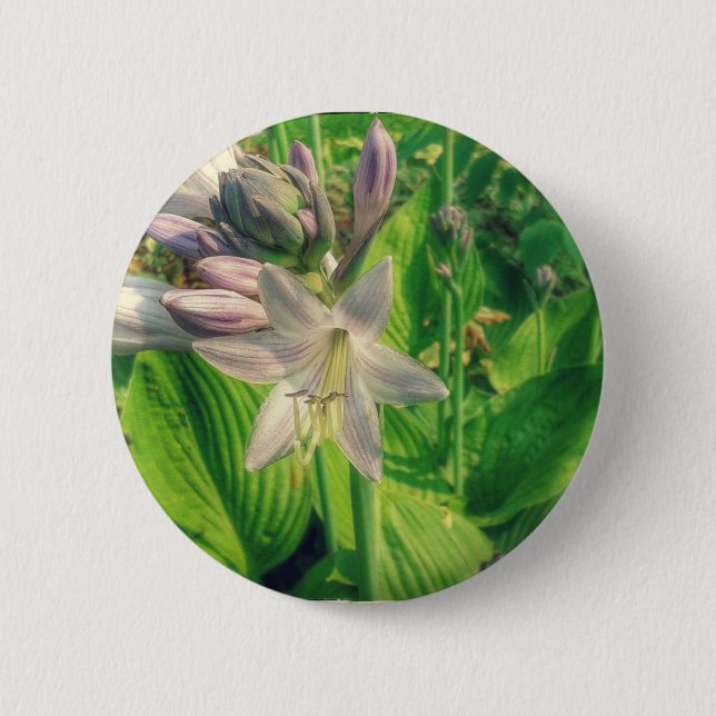 Macaron Rond 5 Cm Hosta (Devant)