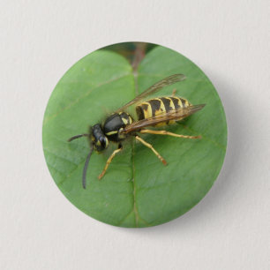 Macaron Rond 5 Cm Hoverfly sur un bouton feuille