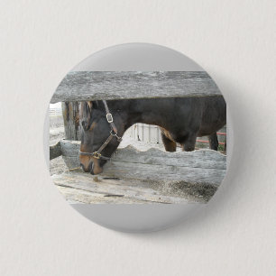 Macaron Rond 5 Cm Humour Cheval de Grange