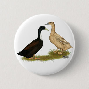 Macaron Rond 5 Cm Hybrid Laying Duck