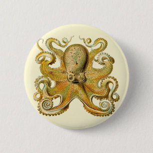 Macaron Rond 5 Cm Illustration antique de pieuvre monstre marin