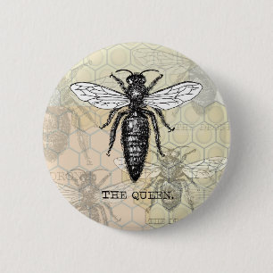 Macaron Rond 5 Cm Illustration Antique d'Insecte de Bourdon Reine Ab