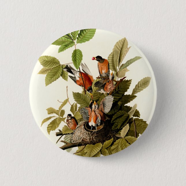 Macaron Rond 5 Cm Illustration Audubon American Robin Wildlife Bird (Devant)