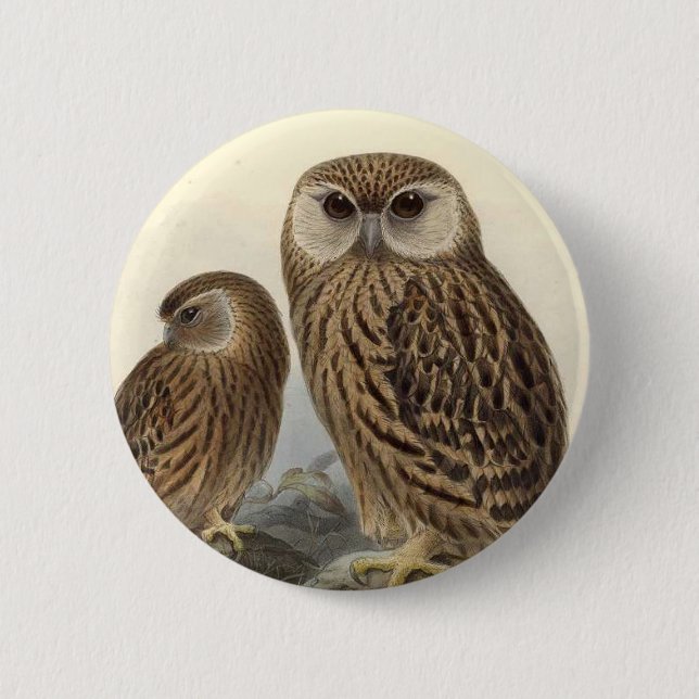 Macaron Rond 5 Cm Illustration de cru de hibou riant (Devant)