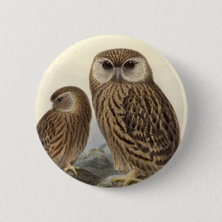 Macaron Rond 5 Cm Illustration de cru de hibou riant