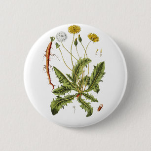 Macaron Rond 5 Cm Illustration de pissenlit vintage