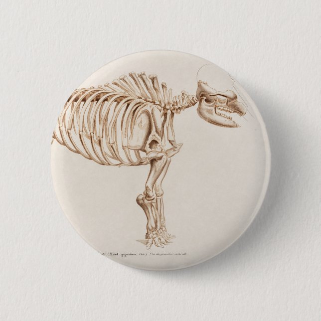 Macaron Rond 5 Cm Illustration Mamoth (Mammut) (Devant)