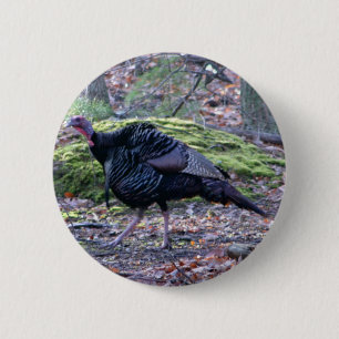 Macaron Rond 5 Cm IMG_6278_edited