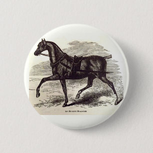 Macaron Rond 5 Cm Imprimé au 19e siècle Un cheval anglais Roadster