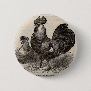 Macaron Rond 5 Cm imprimé du 19e siècle gris anglais dorkings poulet