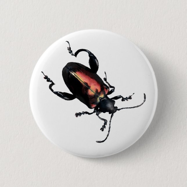 Macaron Rond 5 Cm Insecte noir et rouge de scarabée (Devant)