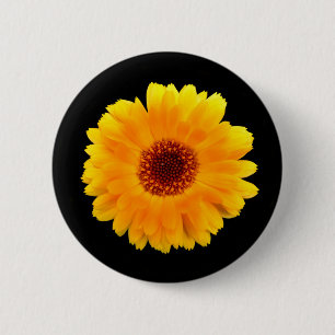 Macaron Rond 5 Cm Insigne Calendula Officinalis