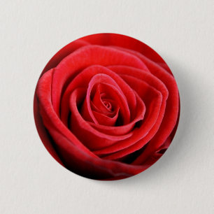 Macaron Rond 5 Cm Insigne de bouton de plan rapproché de rose rouge