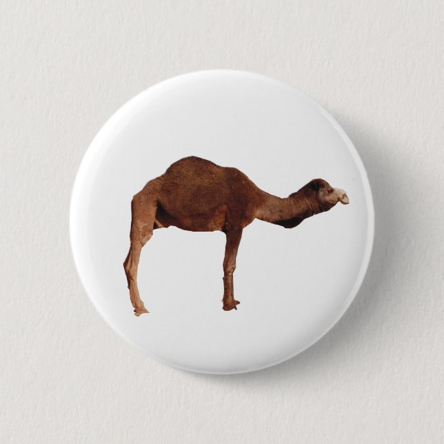 Macaron Rond 5 Cm Insigne marocain de Pin de bouton de chameau (Devant)