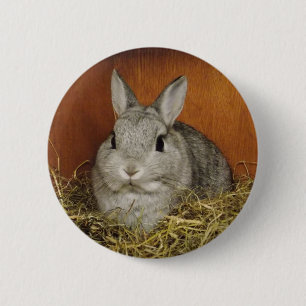 Macaron Rond 5 Cm Insigne mignon de bouton de lapin