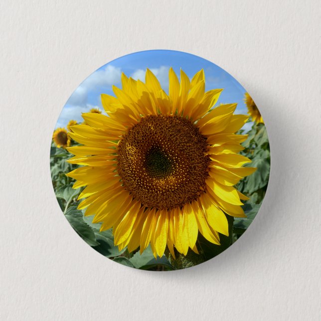 Macaron Rond 5 Cm Insigne rond de tournesol (Devant)
