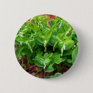 Macaron Rond 5 Cm Insigne Solomons Seal