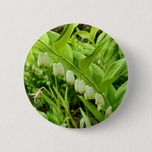 Macaron Rond 5 Cm Insigne Solomons Seal
