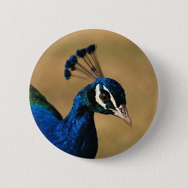 Macaron Rond 5 Cm Insignes et boutons personnalisables de paon (Devant)