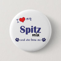 J'aime mon mélange de Spitz (le chien femelle)