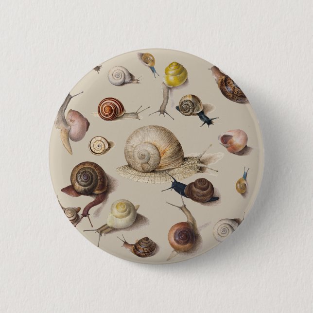 Macaron Rond 5 Cm Jardin d'escargots Animaux de compagnie Gastropod  (Devant)