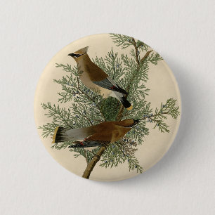 Macaron Rond 5 Cm Jaseur d'Audubon