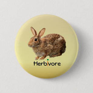 Macaron Rond 5 Cm Jaune sauvage herbivore végétalien câlin de lapin