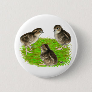 Macaron Rond 5 Cm Jeunes cailles de Bobwhite