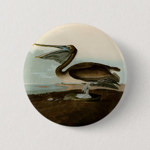 Macaron Rond 5 Cm John James Audubon Peinture Pélicane Brown
