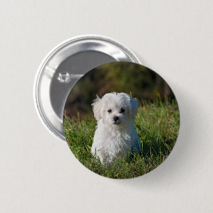 Macaron Rond 5 Cm Joli chiot blanc