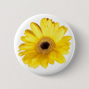 Macaron Rond 5 Cm Joli Gerber Daisy Jaune photo de gros plan