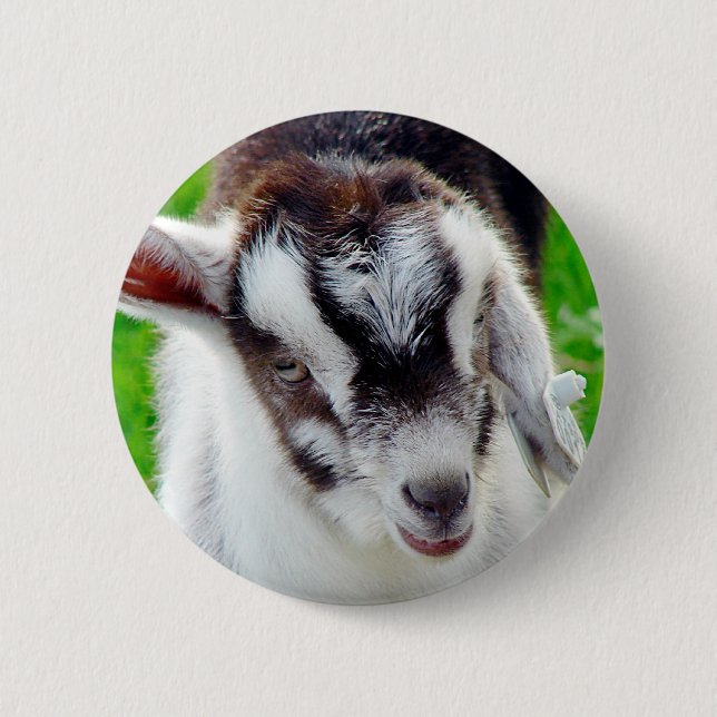 Macaron Rond 5 Cm Joli Goat Kid (Devant)