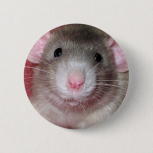 Macaron Rond 5 Cm Joli Rat Dumbo