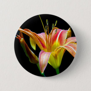 Macaron Rond 5 Cm Jolis vêtements et cadeaux Tawny Daylily II
