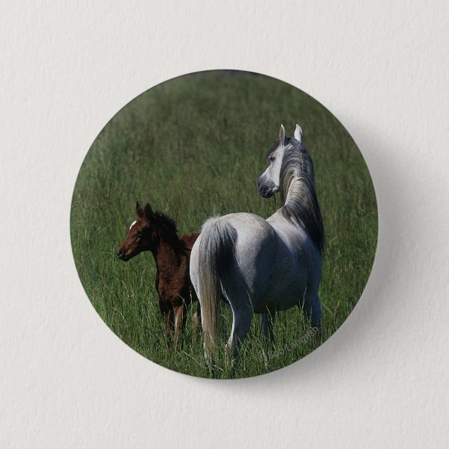 Macaron Rond 5 Cm Jument et poulain arabes (Devant)