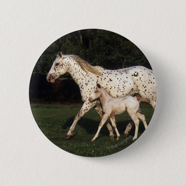 Macaron Rond 5 Cm Jument et poulain d'Appaloosa dans le domaine (Devant)