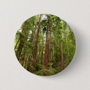 Macaron Rond 5 Cm Jusqu'à Redwoods I au monument national de Muir Wo