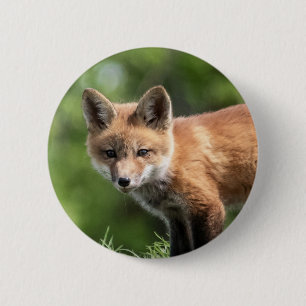 Macaron Rond 5 Cm Kit de Fox rouge