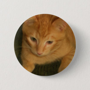 Macaron Rond 5 Cm Kitty Button