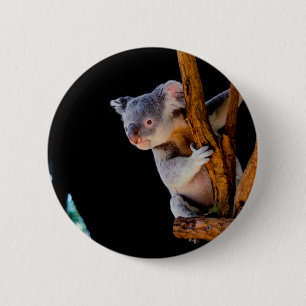 Macaron Rond 5 Cm Koala Cute en gris arbre