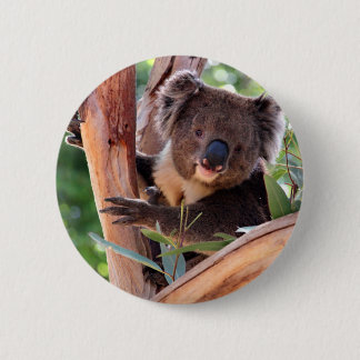 Macaron Rond 5 Cm Koala victorien