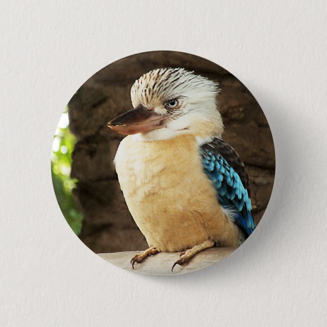 Macaron Rond 5 Cm Kookaburra (Devant)