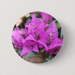Macaron Rond 5 Cm La bouganvillée rose fleurit le bouton
