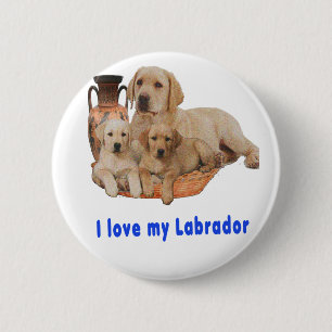Macaron Rond 5 Cm Labrador Retriever