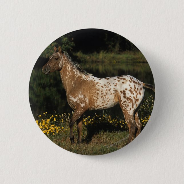 Macaron Rond 5 Cm Lac se tenant prêt horse d'Appaloosa (Devant)