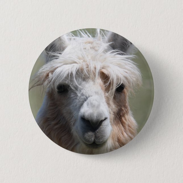Macaron Rond 5 Cm Lama (Devant)