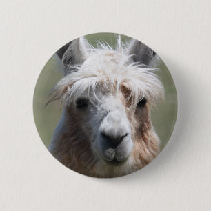 Macaron Rond 5 Cm Lama